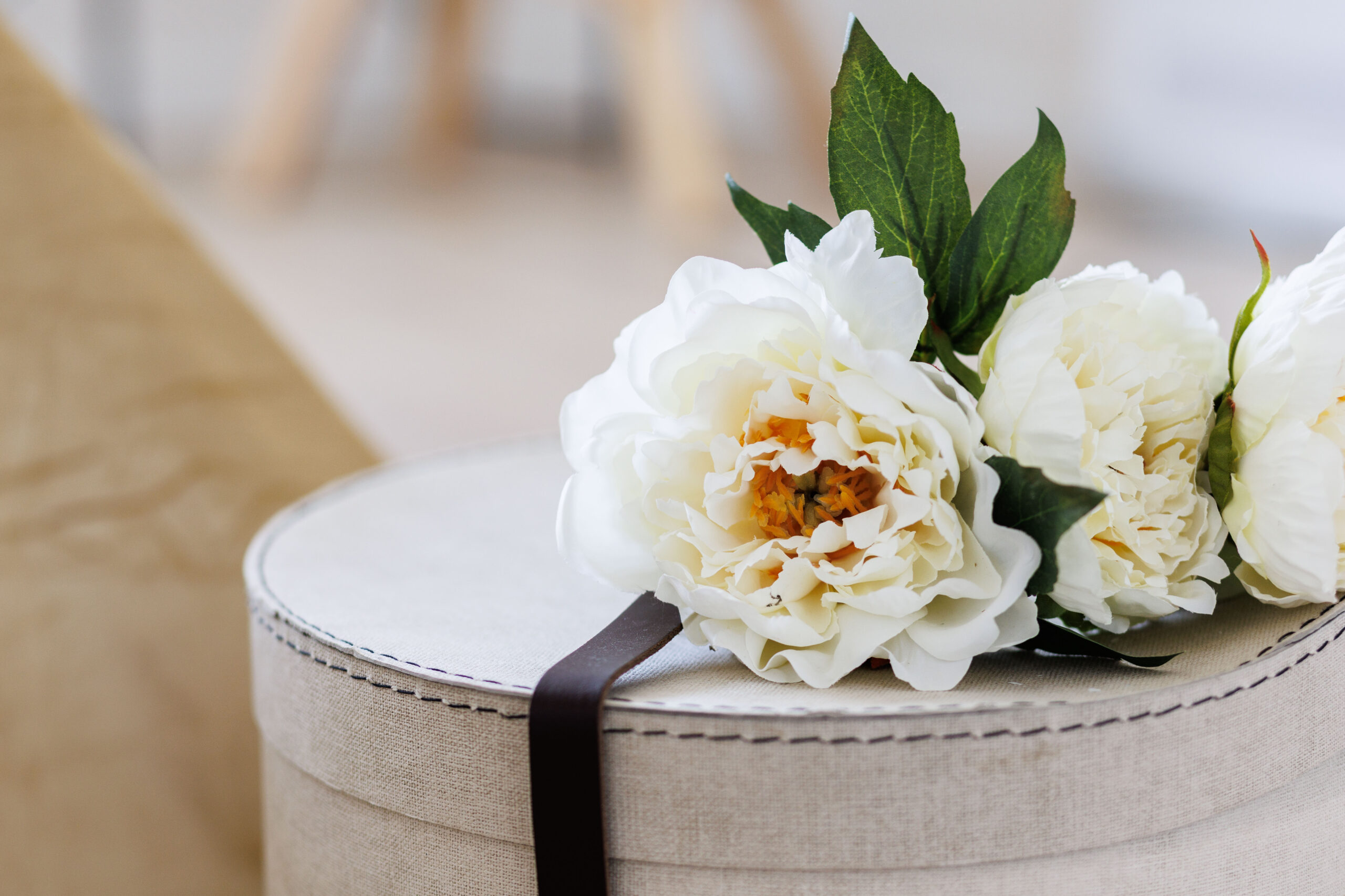 Immobilienfotograf Niederösterreich