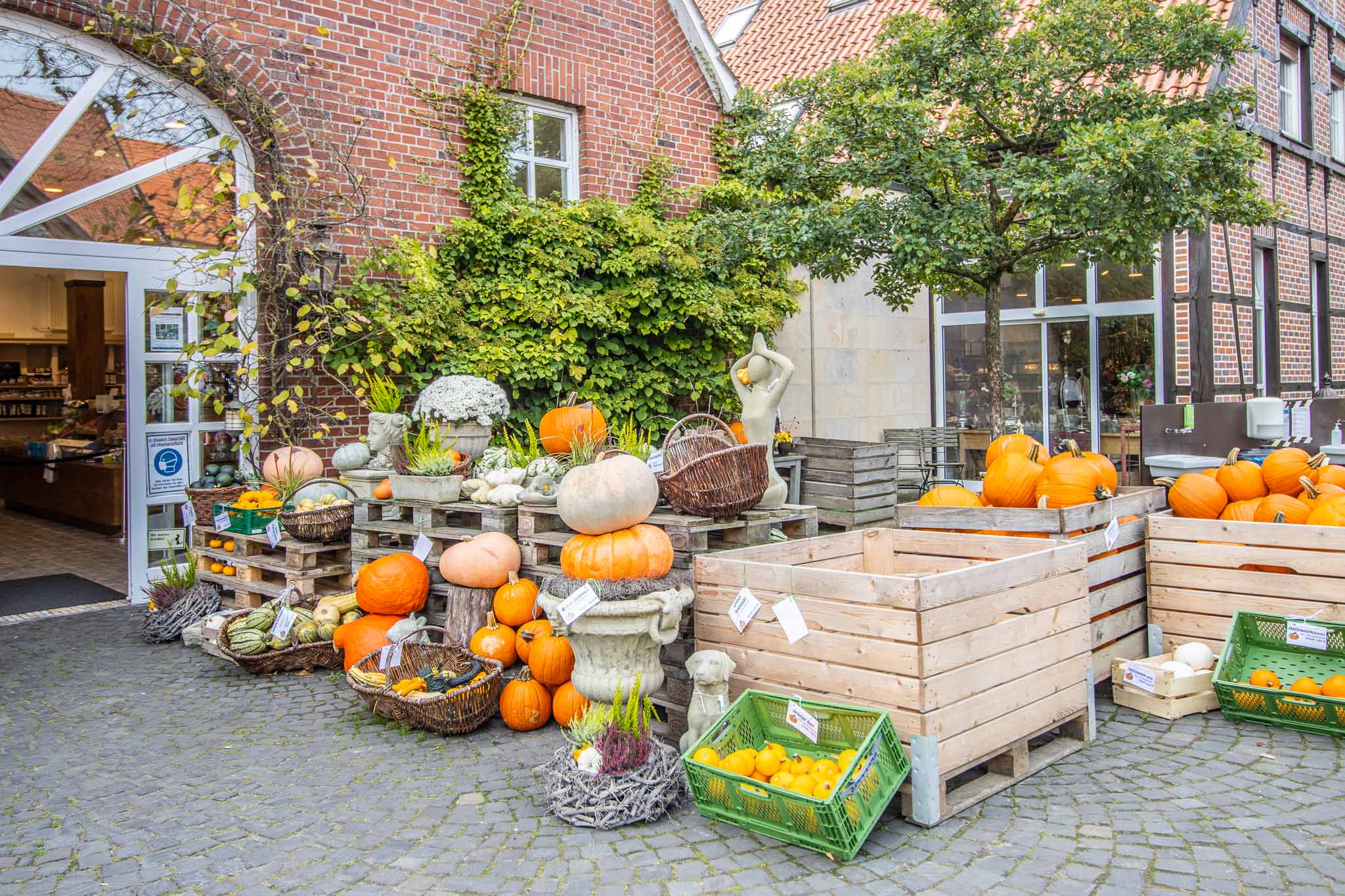 Immobilienfotograf Niederösterreich