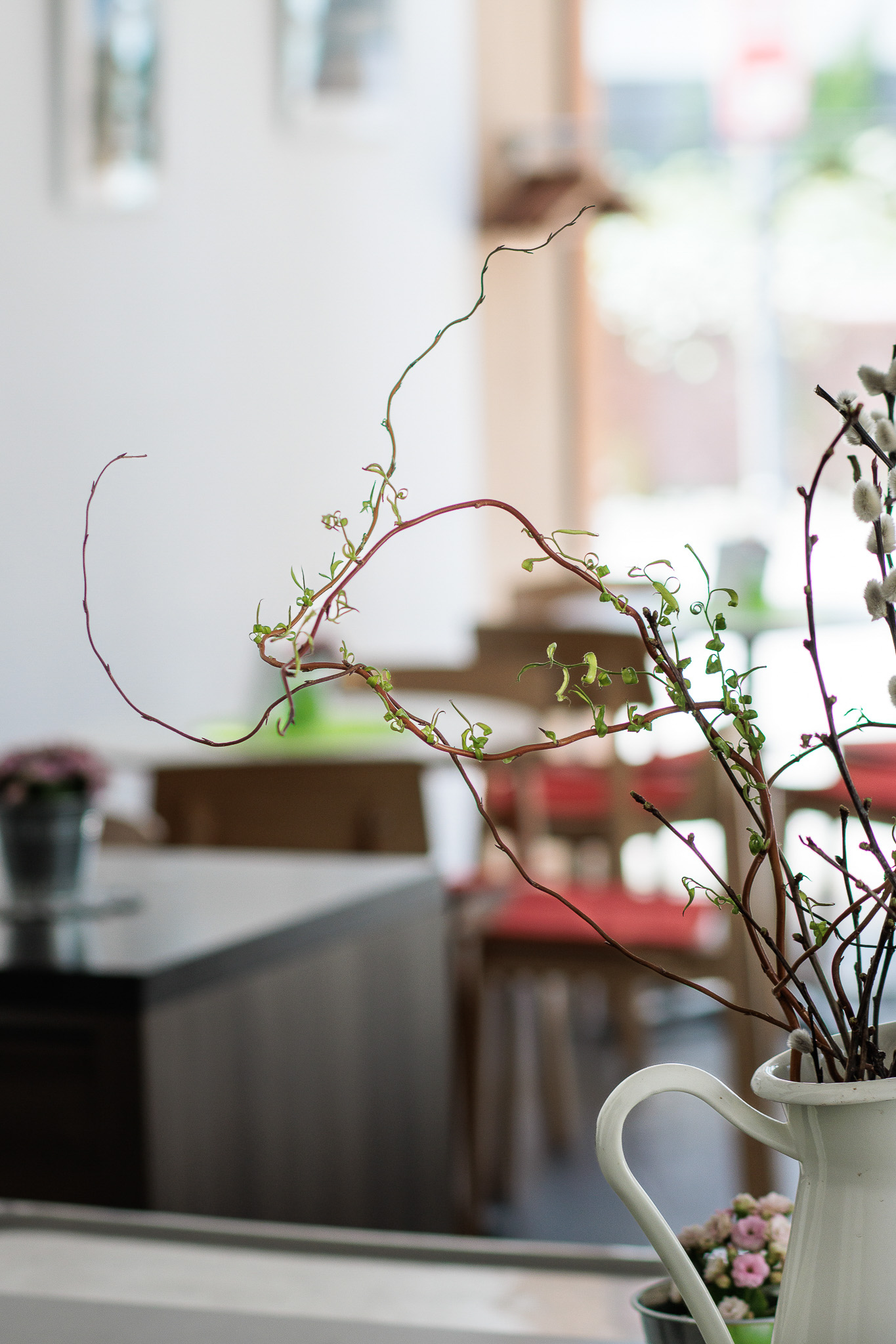 Immobilienfotograf Niederösterreich